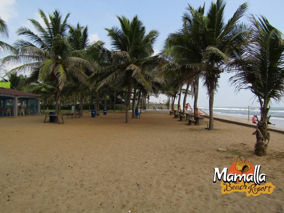 Mamalla Beach Resort Mamallapuram Eksteriør billede